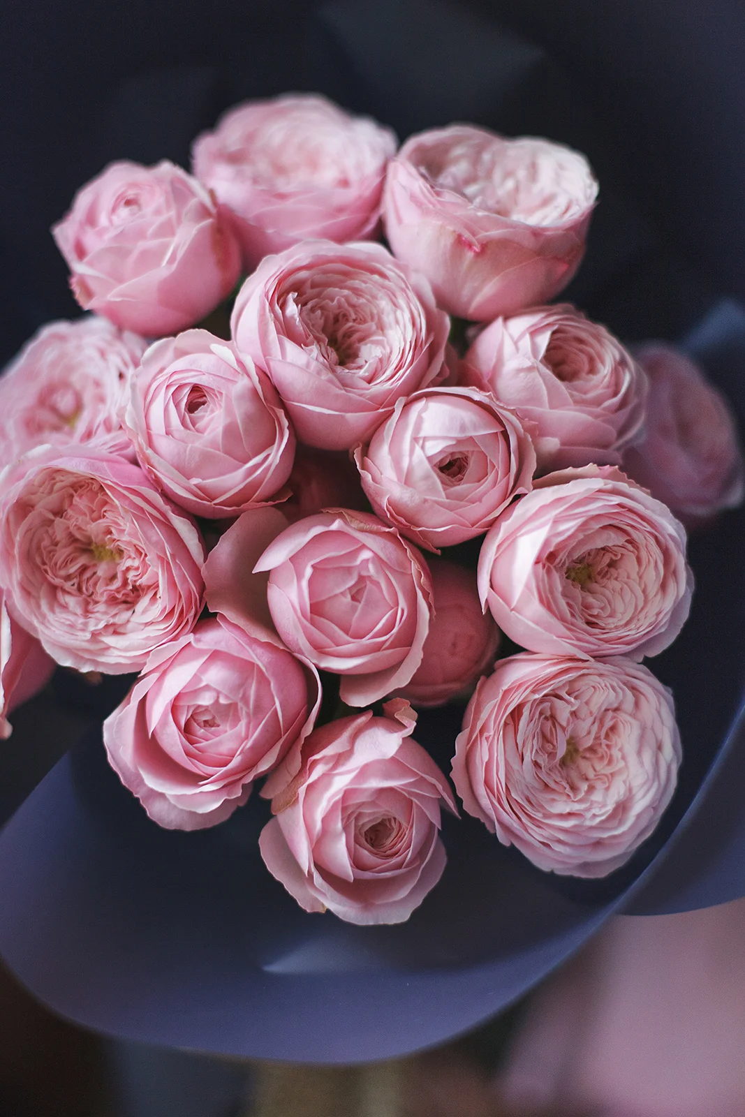 Монобукет из роз Менсвилд Парк Пинк