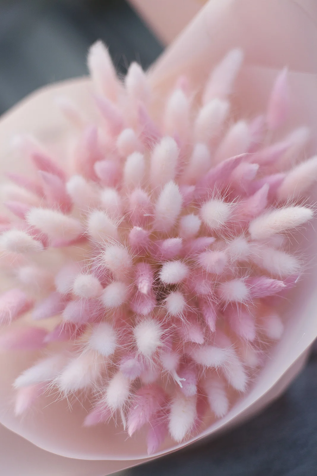 Букет из сухоцветов из лагуруса и фаляриса