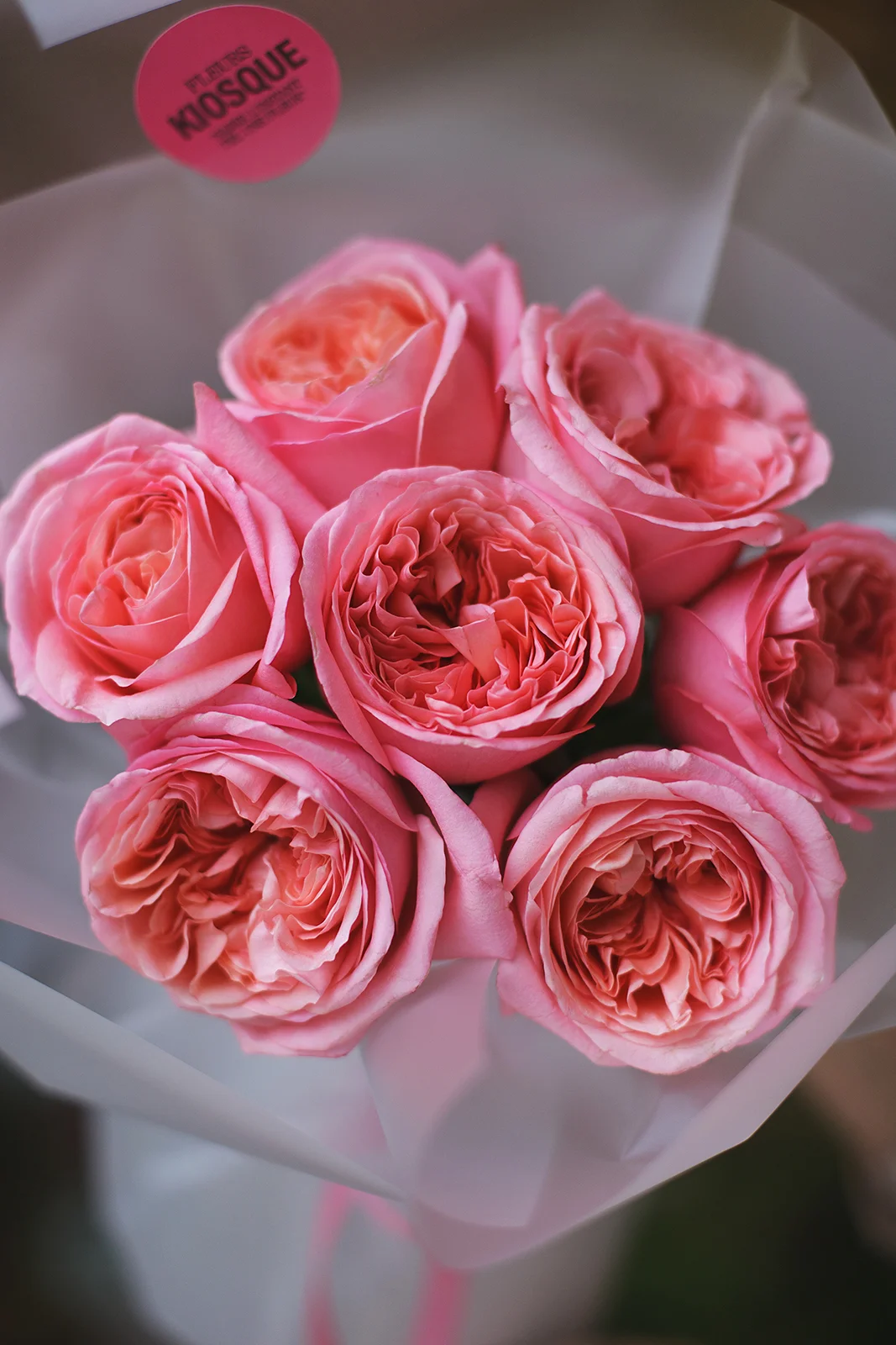 Моно из пионовидной розы Пинк Экспрешн