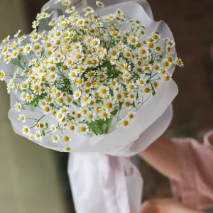 каталог цветов