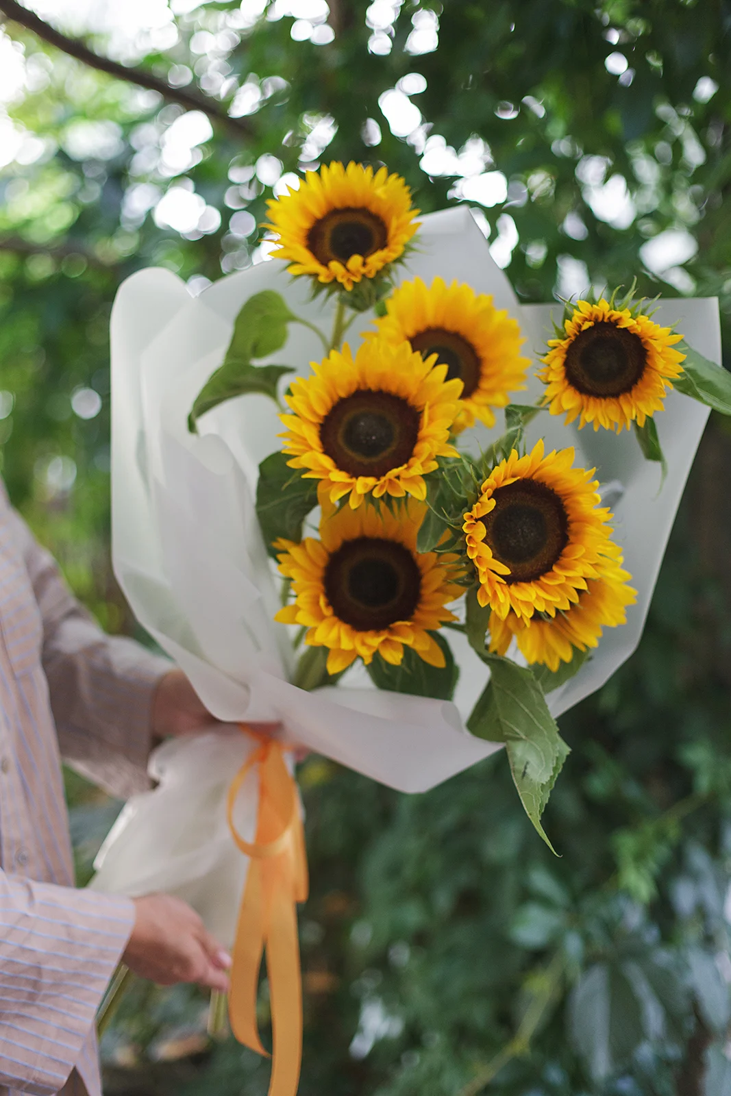 Моно букет из подсолнухов