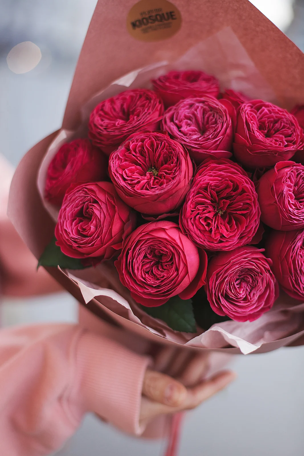 Моно из пионовидной розы Джаст Мо