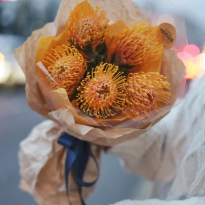 Моно букет из леукаспермума