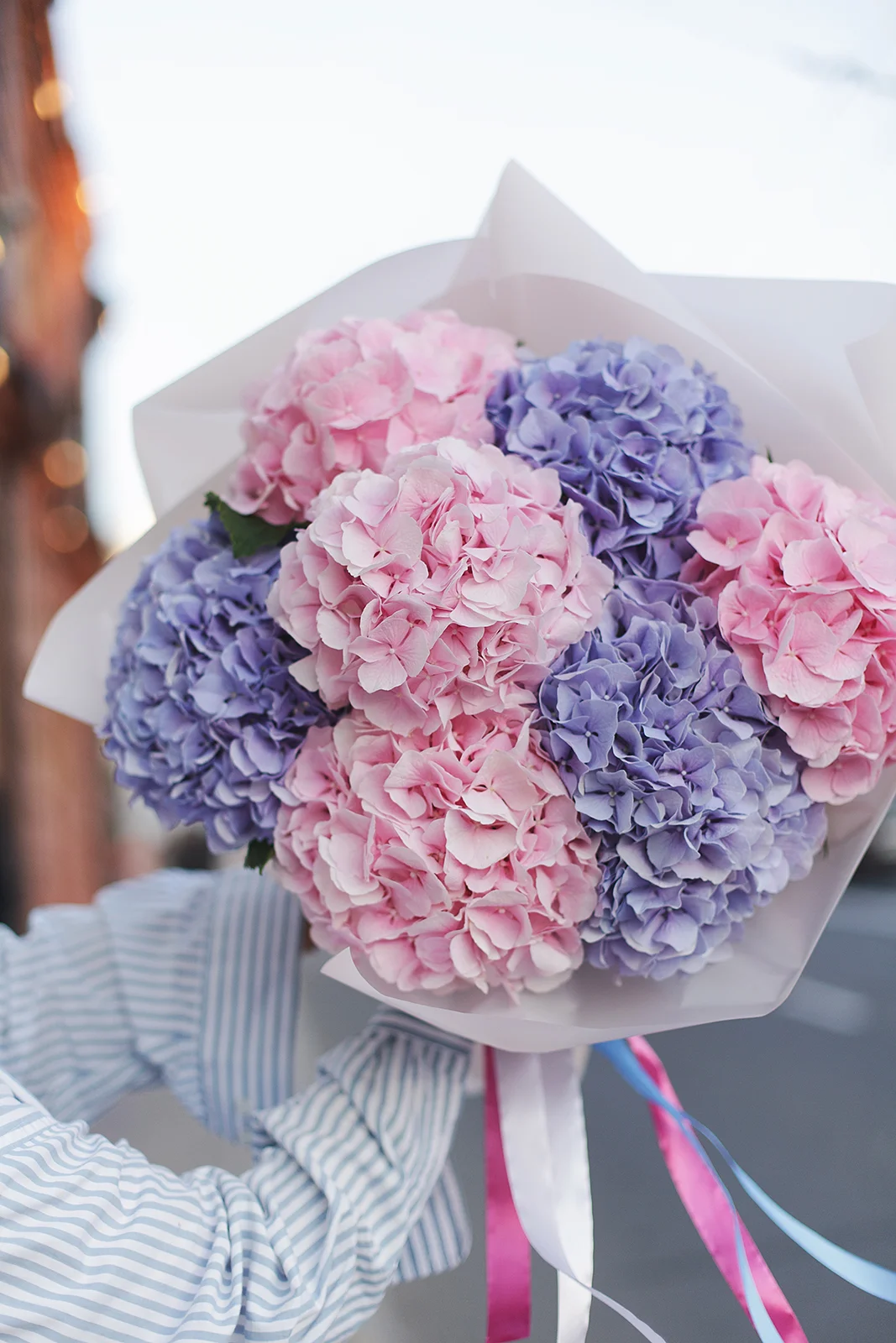 Монобукет из гортензий