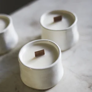 Соевая свеча День в SPA