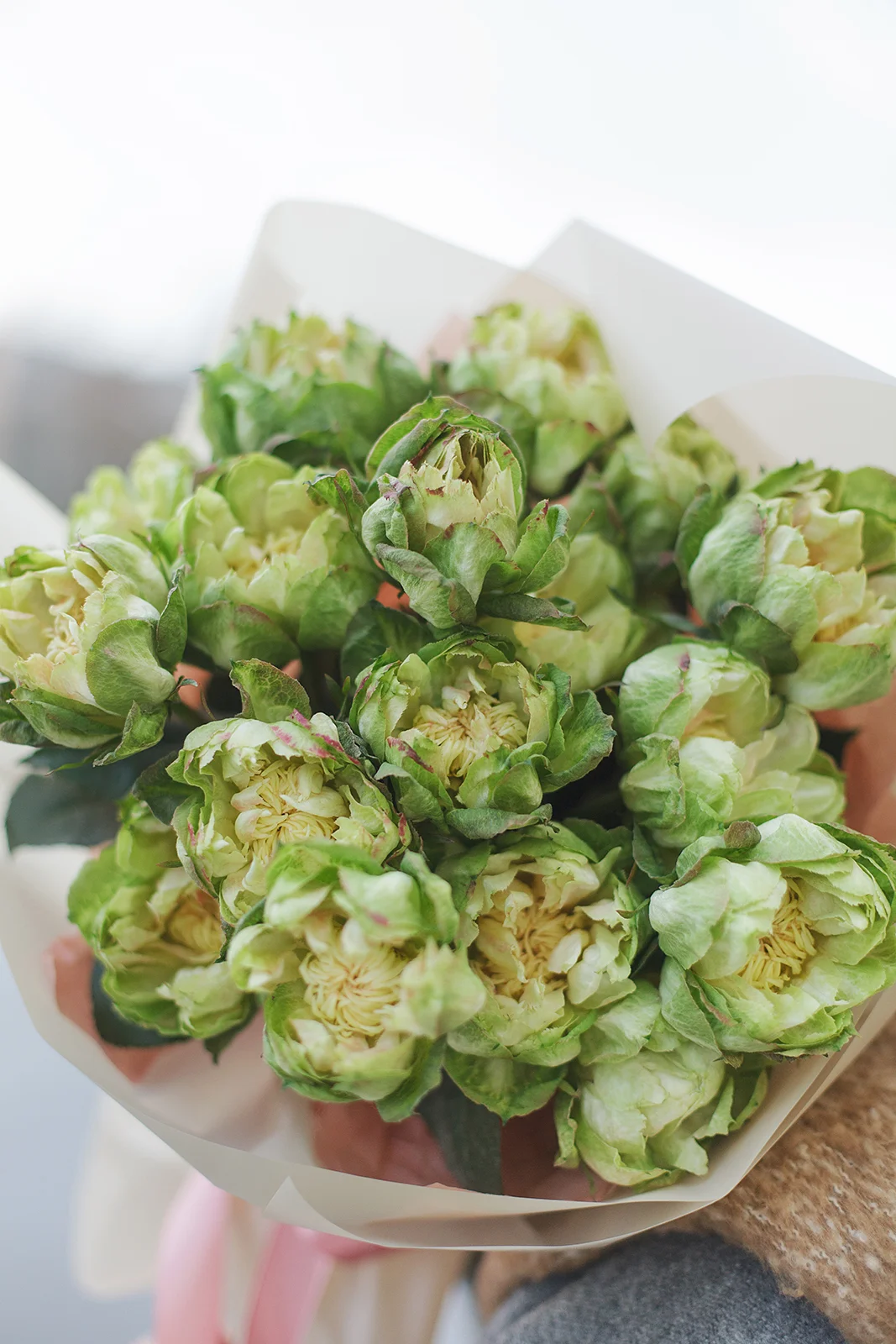 Моно букет из роз Вегги