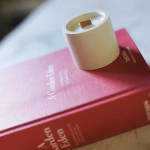 Соевая Свеча Библиотека