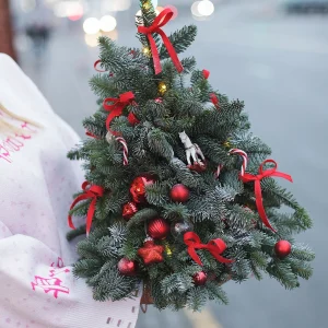 Новогодняя Елочка из нобилиса и игрушек ShiShi