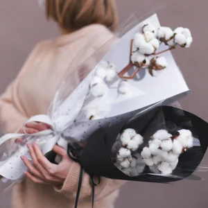 Веточка хлопка в упаковке