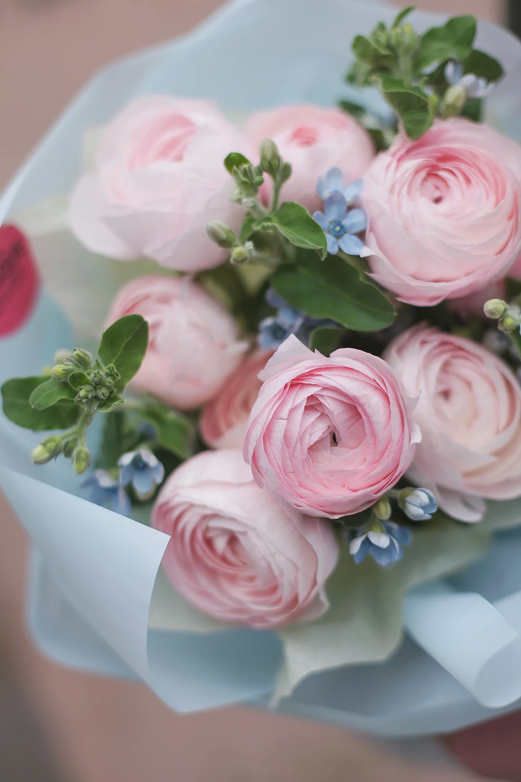 Букет из ранункулюсов и незабудок