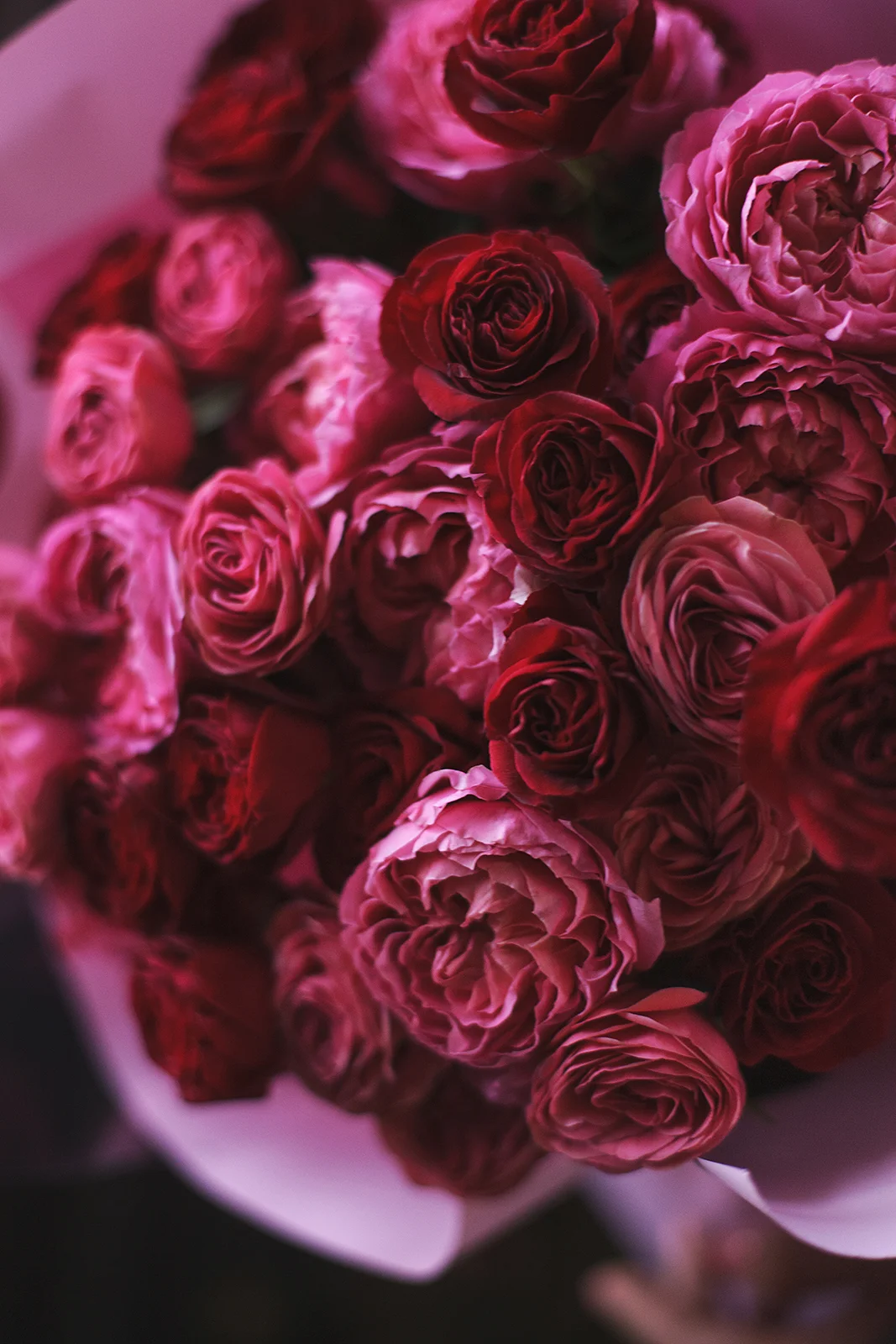 Дуо букет из пионовидных роз